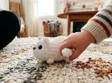 Amigurumi Cat Crochet Pattern PDF, Plush Kitten Toy Tutorial, Intermediate Level Nursery Decor Gift Idea, Instant Download US Terms — photo 2