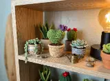 Heart Cactus Crochet Pattern — photo 2