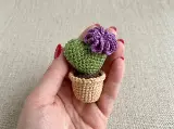 Heart Cactus Crochet Pattern — photo 4