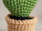 Heart Cactus Crochet Pattern — photo 5